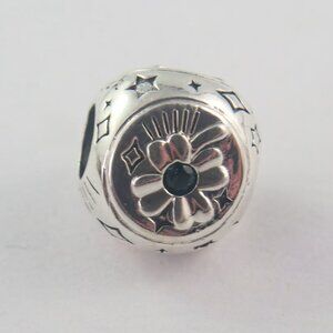 Pandora Clover Horseshoe Ladybird Charm - Good Luck - St Patrick's Day (H22)